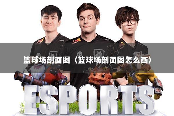 篮球场剖面图（篮球场剖面图怎么画）