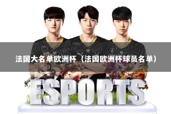 法国大名单欧洲杯（法国欧洲杯球员名单）