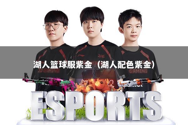 湖人篮球服紫金(湖人配色紫金)