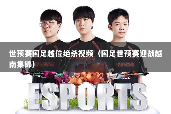 世预赛国足越位绝杀视频（国足世预赛迎战越南集锦）