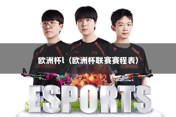 欧洲杯l（欧洲杯联赛赛程表）