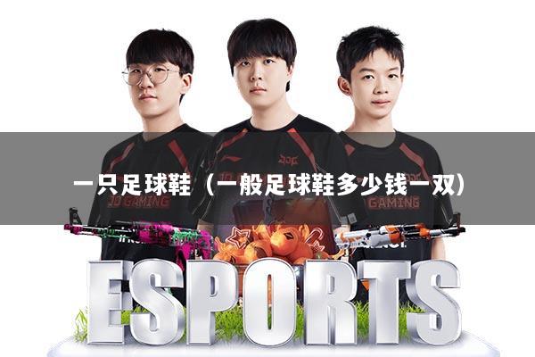 一只足球鞋（一般足球鞋多少钱一双）